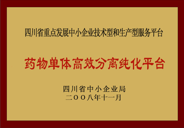 四川省重点发展中小企业技术型和生产型服务平台