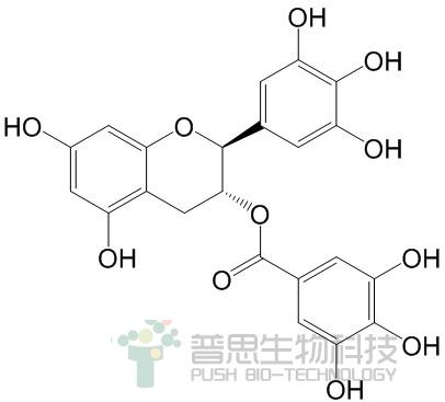 (-)-没食子儿茶素没食子酸酯