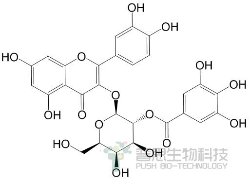 2''-O-没食子酰基金丝桃苷