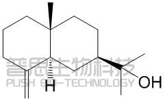 β-桉叶醇