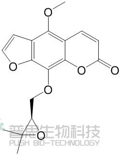 白当归脑