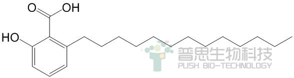 白果新酸