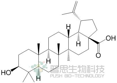 白桦脂酸