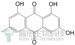 大黄素