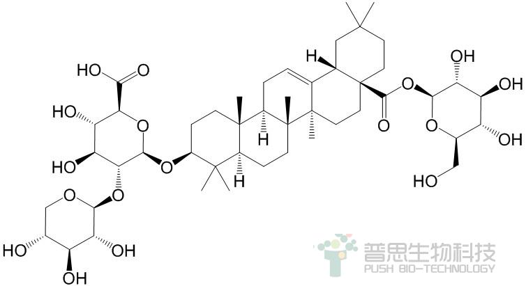 假人参皂苷RT1