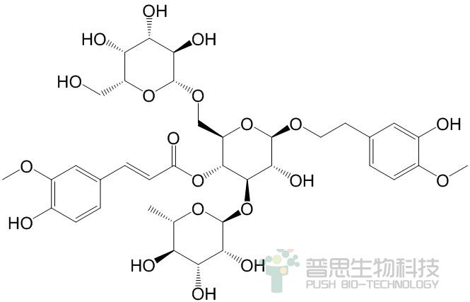 焦地黄苯乙醇苷B1