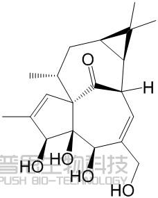 巨大戟醇