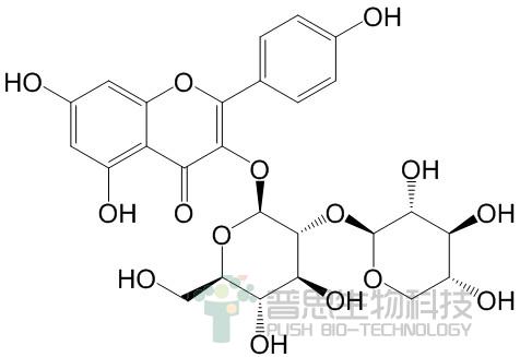 山柰酚-3-O-桑布双糖苷