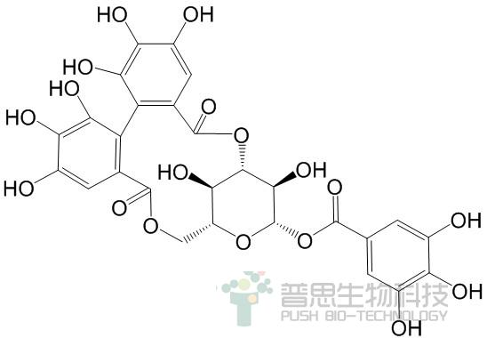 柯里拉京