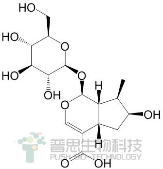 马钱苷酸