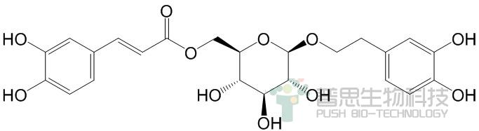 木通苯乙醇苷B