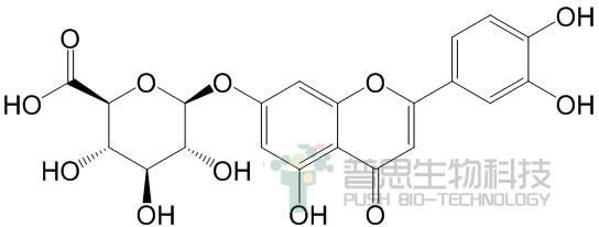 木犀草素-7-O-β-D-葡萄糖醛酸苷