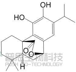 鼠尾草酚
