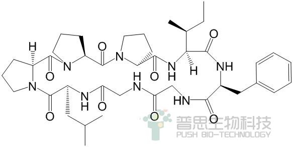 太子参环肽B
