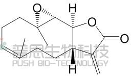 小白菊内酯