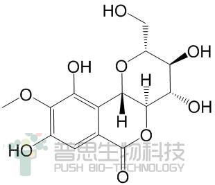 岩白菜素