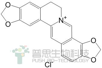 盐酸黄连碱