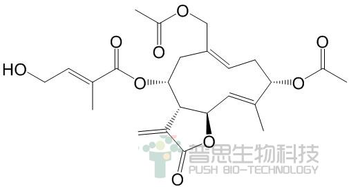 野马追内酯B