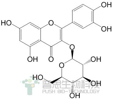 异槲皮苷