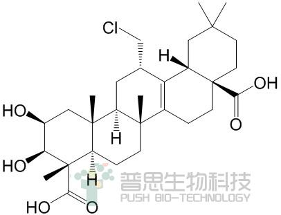 远志皂苷元
