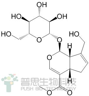 栀子苷