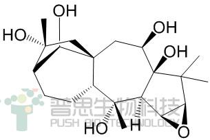 闹羊花毒素III
