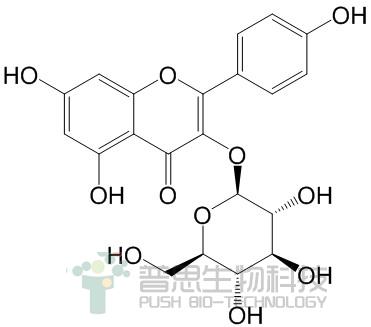 紫云英苷