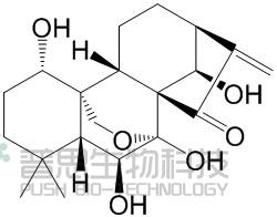 冬凌草甲素