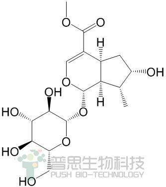 马钱苷