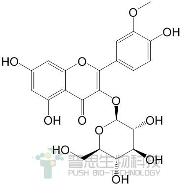 异鼠李素-3-O-β-D-葡萄糖苷