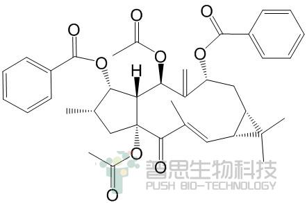 千金子素L2