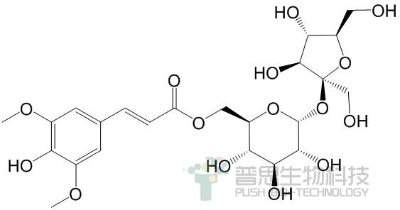 西伯利亚远志糖A1