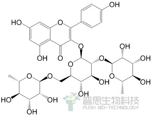 山柰酚-3-O-(2，6-α-L-二吡喃鼠李糖基-β-D-吡喃葡萄糖苷)