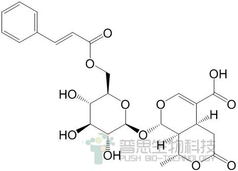 6'-O-肉桂酰基-8-表金吉苷酸