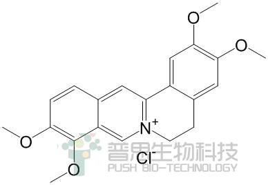 盐酸巴马汀