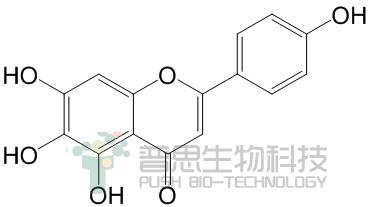 野黄芩素