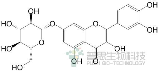 槲皮素-7-O-β-D-葡萄糖苷