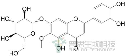 假荆芥属苷