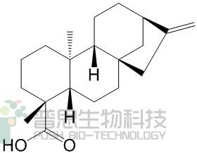 异贝壳杉烯酸
