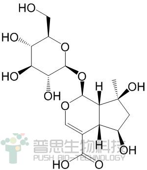 山栀苷
