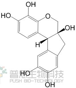 苏木素