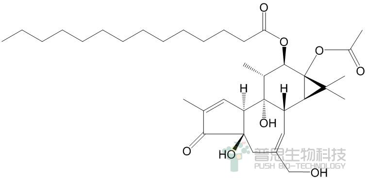 佛波醇-12-十四酸酯-13-乙酸酯