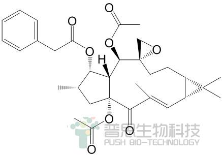 千金子素L1