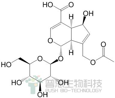 车叶草苷酸